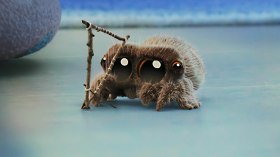 Imagen de Lucas la Araña (T1): Lucas el solitario / ¡No te veo! / Cazar a una mosca - 2