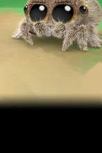 Imagen de Lucas la Araña (T1): La leyenda del monstruo / Arlo necesita dormir / Las críticas - 1