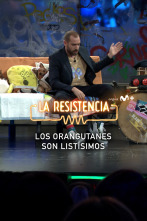 Imagen de Lo + de Ponce (T7): Doctor Orangután 29.05.24 - 1