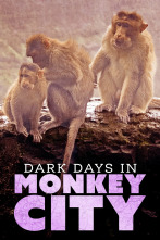 Monkey City, Season 1 
