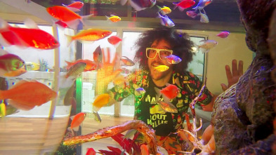 Imagen de Acuarios XXL (T6): Acuario para Party Rockin' - 3