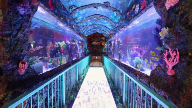 Imagen de Acuarios XXL (T6): Cambio de imagen para Bellagio - 3