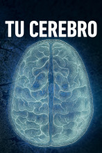 Tu cerebro 