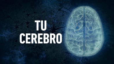 Imagen de Tu cerebro  - 2