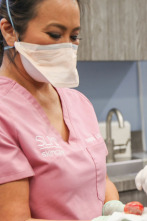 Imagen de La doctora Lee (T8): ¿Las iguanas tienen granos? - 1