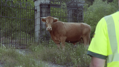 Imagen de Control de carreteras (T1): Ep.18 - 2