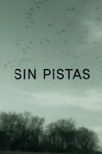 Imagen de Sin pistas  - 1