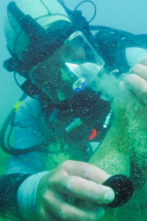 Imagen de La ruta del oro con...: Los tiburones y el oro - 1