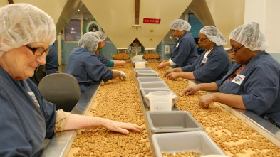 Imagen de ¿Cómo lo hacen?: Almendras/Turbina quitanieves/Detergentes - 2