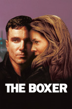 The Boxer