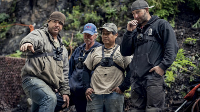 Imagen de La fiebre del oro:...: En guerra con un árbol - 2