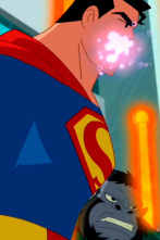 Justice League Action,...: La confusión de mxy