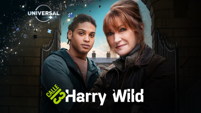 Harry Wild (T2)