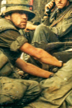 Imagen de En el campo de...: Los marines en la batalla de Hue - 1