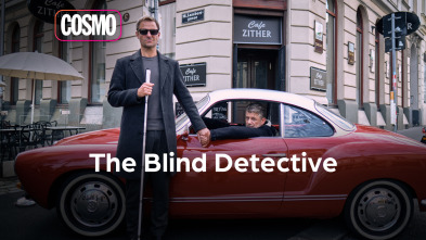 The blind detective (T1)