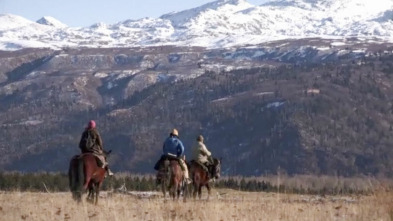 Alaska, última frontera: Hasta que las vacas vuelvan a casa