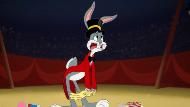 Imagen de Looney Tunes... (T4): Un desastre de domador / Sacar al gato: El ojo / Un combate lleno de dolor - 2