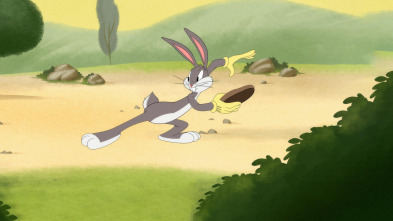 Imagen de Looney Tunes... (T4): Al ritmo de tambores / Gag del agujero: La madriguera voladora / Un festín aviar - 2