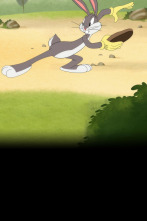 Imagen de Looney Tunes... (T4): Al ritmo de tambores / Gag del agujero: La madriguera voladora / Un festín aviar - 1
