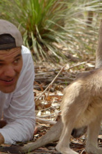 Wild Frank en Australia: Ep.3