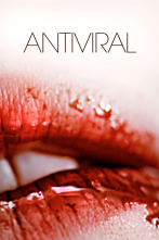 Imagen de Antiviral - 1