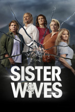 Imagen de Un marido para cuatro esposas (T5) - 1