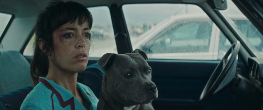 Imagen de Vincent debe morir - 7