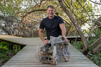 Imagen de Hipopótamos y cocodrilos con Steve Backshall  - 3