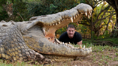 Hipopótamos y...: Cocodrilos con Steve Backshall II