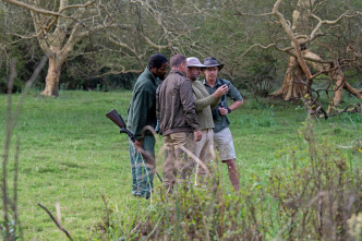 Imagen de Hipopótamos y...: Cocodrilos con Steve Backshall II - 3