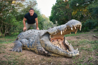 Imagen de Hipopótamos y...: Cocodrilos con Steve Backshall II - 5