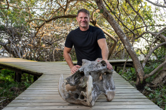 Imagen de Hipopótamos y...: Hipopótamos con Steve Backshall I - 7