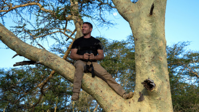 Imagen de Hipopótamos y...: Hipopótamos con Steve Backshall II - 5