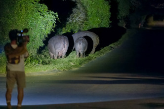 Imagen de Hipopótamos y...: Hipopótamos con Steve Backshall II - 6