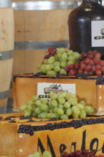 Imagen de El rey de las tartas (T12): Vino y valses - 1