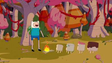Imagen de Hora De Aventuras (T7): Pillastres - 2