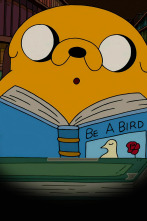 Imagen de Hora De Aventuras (T8): No mires - 1