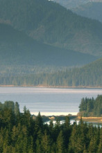 Imagen de Mi familia vive en Alaska (T7) - 15