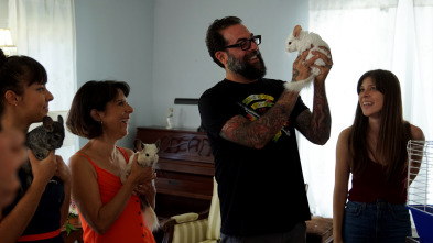Imagen de Supercasas para mascotas: Un paraíso para chinchillas - 2