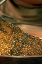 Imagen de La fiebre del oro (T7): Oro de record - 1