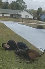 Imagen de Body Cam: Imprevisto - 1