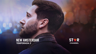 Imagen de New Amsterdam (T5) - 2