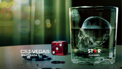 Imagen de CSI: Vegas (T3) - 2