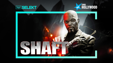 Shaft