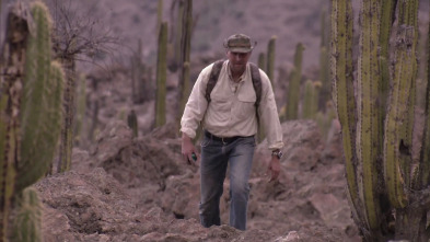 Dúo de supervivientes,...: Avería en el desierto