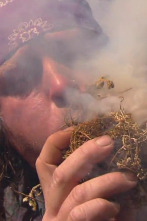 Imagen de Dúo de supervivientes: Pánico en la jungla - 1