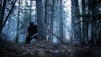 Imagen de El triángulo de... (T2): La isla del Bigfoot - 2