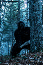 Imagen de El triángulo de... (T2): La isla del Bigfoot - 1