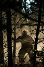 Imagen de El triángulo de... (T2): Bigfoot agresivo - 1