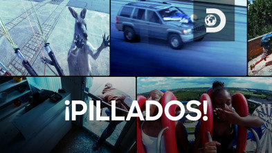 Imagen de ¡Pillados!  - 2